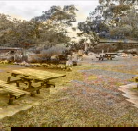 Thredbo River picnic area - Accommodation NT
