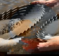 Tuena Panning for Gold - Accommodation NT