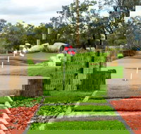 Vines Mini Golf - Accommodation NT