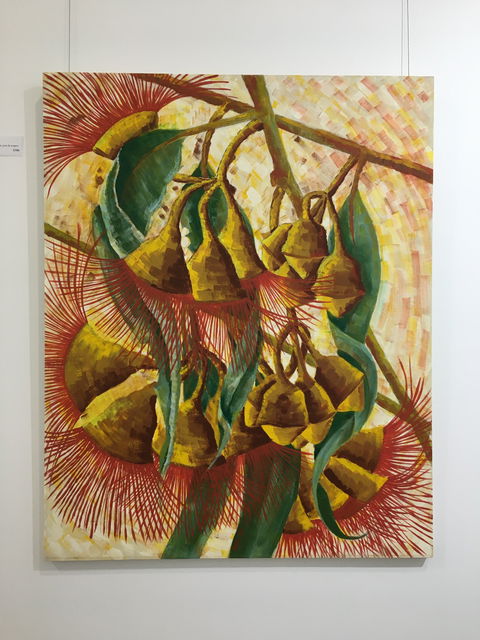 Wacky Bird Gallery - Accommodation NT 1