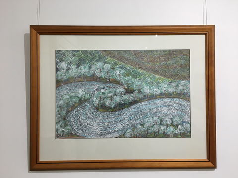 Wacky Bird Gallery - Accommodation NT 2