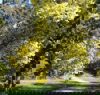 Wattle Park - Accommodation NT