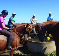Western Plains Riding Centre - Open - Accommodation NT