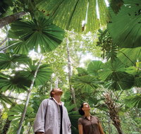 Wet Tropics Rainforest - Accommodation NT