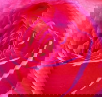 Abandon Stress Mobile Massage - Accommodation NT