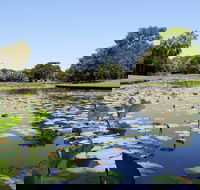 Anderson Park Botanic Gardens - Accommodation NT