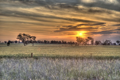 Ardlethan - Accommodation NT 2