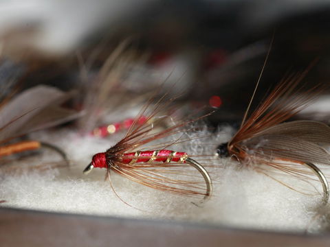 Australian Fly Fishing Museum - NT Tourism 0