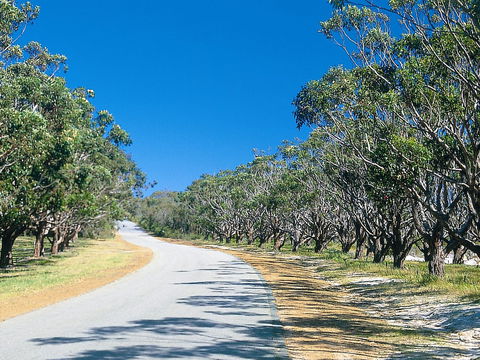 Avenue Of Honour - NT Tourism 1