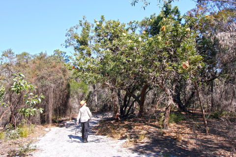 Banksia Track, Burrum Coast National Park - Accommodation NT 1
