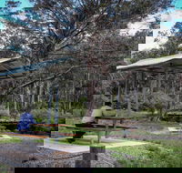Barrington Tops State Forest - Accommodation NT