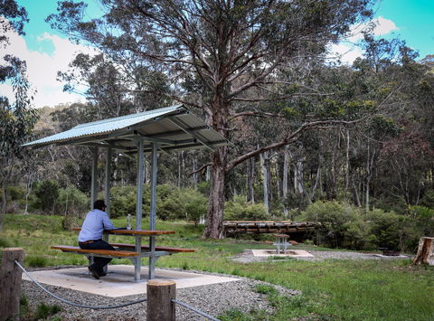 Barrington Tops State Forest - Accommodation NT 0