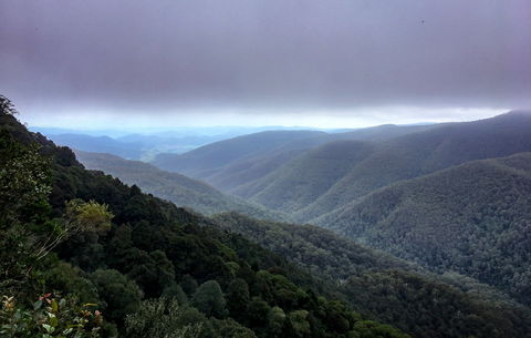 Barrington Tops State Forest - Accommodation NT 2