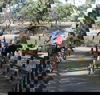 Bidgee Riverside Trail  - Hay Nature Walk - Accommodation NT