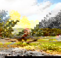Bright - Accommodation NT