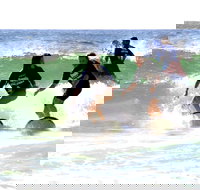 Broadbeach Surf School - Accommodation NT