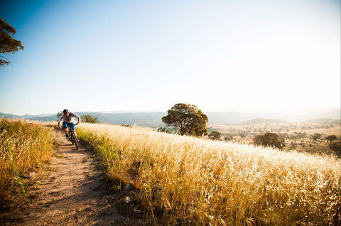 Canberra Centenary Trail - Accommodation NT 0
