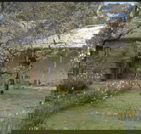 Castlemaine Diggings National Heritage Park - Accommodation NT