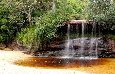 Collins Flat Beach - NT Tourism 0