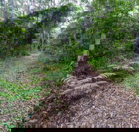 Double Wharf Trail - NT Tourism