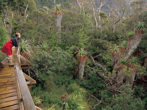 Dove Lake - Accommodation NT 1