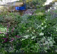 Down to Earth Permaculture - Accommodation NT
