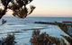 Duranbah Beach - thumb 0