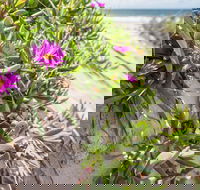 Fort Bribie - Accommodation NT