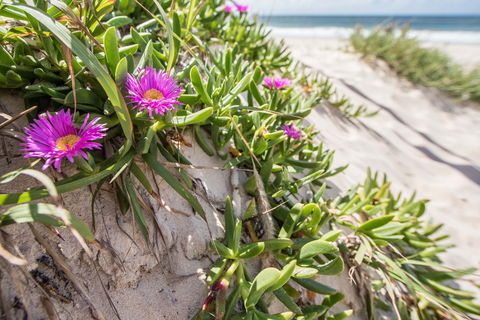 Fort Bribie - Accommodation NT 0
