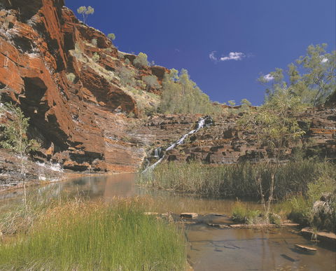 Fortescue Falls - Accommodation NT 1