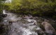 Gloucester River Walking Track - thumb 0