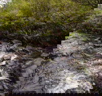 Gloucester River walking track - Accommodation NT