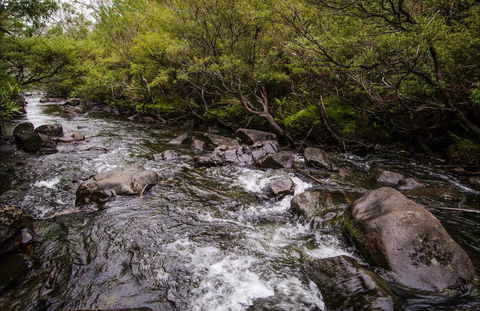 Gloucester River Walking Track - Accommodation NT 0