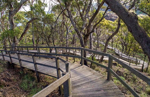 Governor Summit (Corrunbral Borawah) Walking Track - Accommodation NT 0