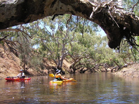Greenough River Nature Trail - Accommodation NT 1