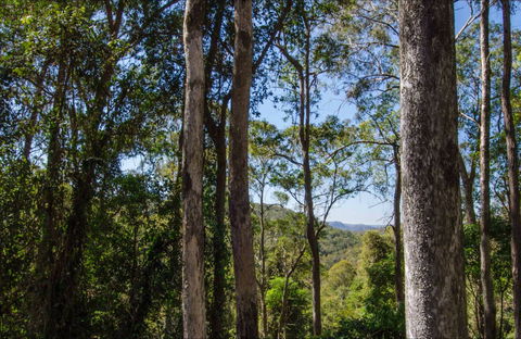 Hidden Treasure Picnic Area - Accommodation NT 0