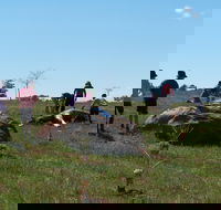 Jim Salmon  Wetland Education Site - Accommodation NT
