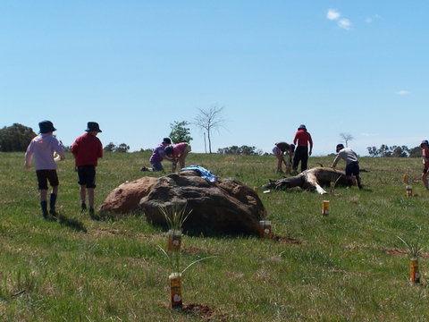 Jim Salmon  Wetland Education Site - Accommodation NT 0