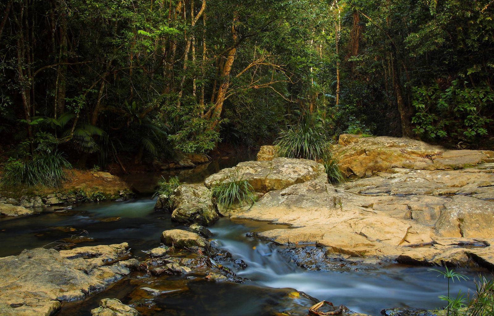 Tropical North Queensland QLD Accommodation NT
