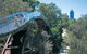 Law Walk - Kings Park - thumb 0