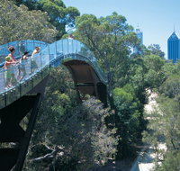 Law Walk - Kings Park - Accommodation NT