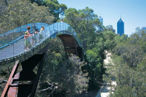 Law Walk - Kings Park - NT Tourism 0