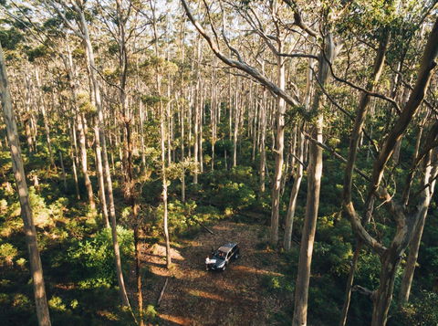 Leeuwin-Naturaliste National Park - Cowaramup - Accommodation NT 0