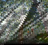 Leeuwin-Naturaliste National Park - Leeuwin - Accommodation NT