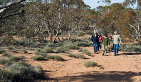 Mallee Stop Walking Track - Accommodation NT 0