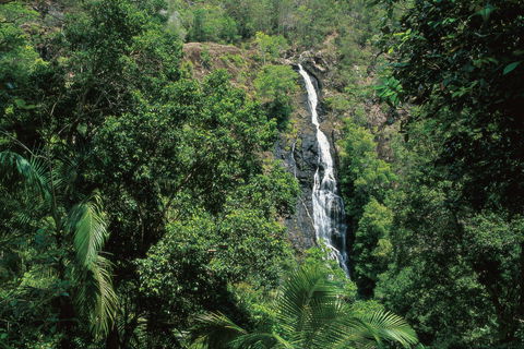 Mapleton Falls National Park - Accommodation NT 0