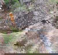 Mill-bullah Walking Track - Accommodation NT