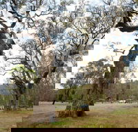 Moolarben Picnic Area - Accommodation NT