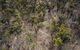 Mountain Bike Trails Deniliquin - thumb 1