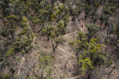 Mountain Bike Trails Deniliquin - Accommodation NT 1